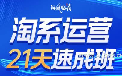 白凤电商·淘系运营21天速成班(更新4月)-351资源网