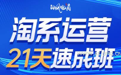 白凤电商·淘系运营21天速成班(更新5月)-351资源网