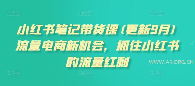 小红书笔记带货课(更新25年3月)流量电商新机会，抓住小红书的流量红利-351资源网