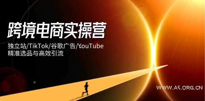 跨境电商实操营：独立站/TikTok/谷歌广告/YouTube，精准选品与高效引流-351资源网