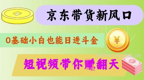 最新京东短视频带货代运营秘籍，轻松躺挣【揭秘】-351资源网
