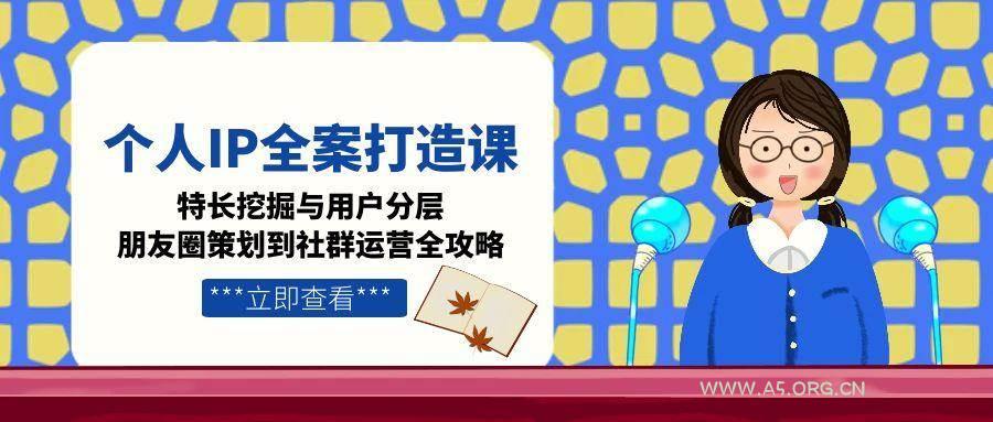 个人IP全案打造课，特长挖掘与用户分层，朋友圈策划到社群运营全攻略-351资源网