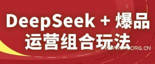 DeepSeek+爆品运营组合玩法，2025淘系精品课-351资源网