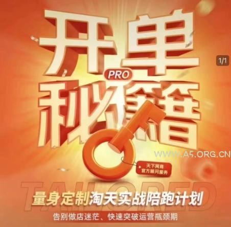 淘宝开单秘籍PRO，量身定制淘天实战陪跑计划，告别做店迷茫、快速突破运营瓶颈期(更新)-351资源网