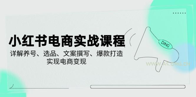 小红书电商实战课程，详解养号、选品、文案撰写、爆款打造，实现电商变现-351资源网