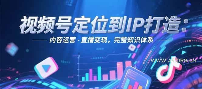 视频号定位到IP打造：账号搭建-内容运营-直播变现，完整知识体系-351资源网