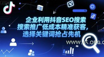 企业利用抖音SEO搜索推广低成本精准获客，选择关键词抢占先机-351资源网