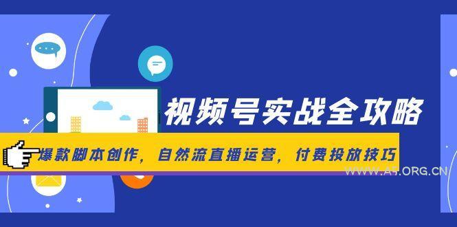 视频号实战全攻略，爆款脚本创作，自然流直播运营，付费投放技巧-351资源网
