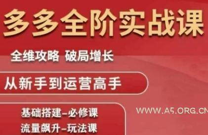 拼多多全阶实战课程，全维攻略，破局增长，从新手到运营高手-351资源网