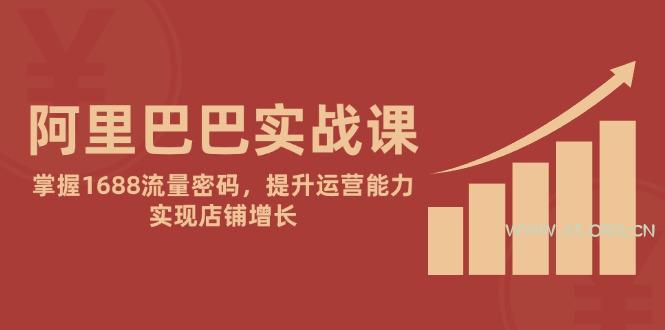 阿里巴巴实战课：掌握1688流量密码，提升运营能力，实现店铺增长-351资源网