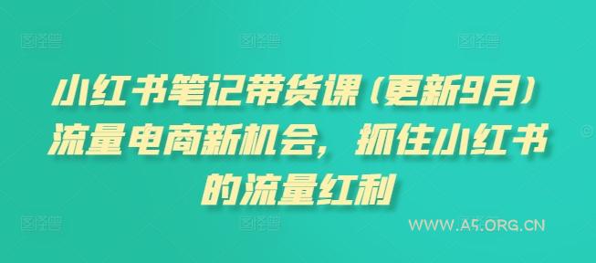小红书笔记带货课(更新25年9月)流量电商新机会，抓住小红书的流量红利-351资源网