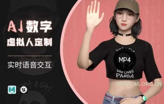 Ai数字人虚拟(智能体)实时语音交互特训营，​自行定制超写实角色AI数字人交互技术-351资源网