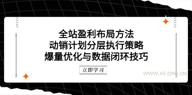 全站盈利布局方法：动销计划分层执行策略，爆量优化与数据闭环技巧-351资源网