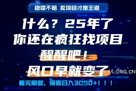 什么?25年你还在疯狂找项目做,醒醒吧,看完这些你全都懂了!【揭秘】-351资源网