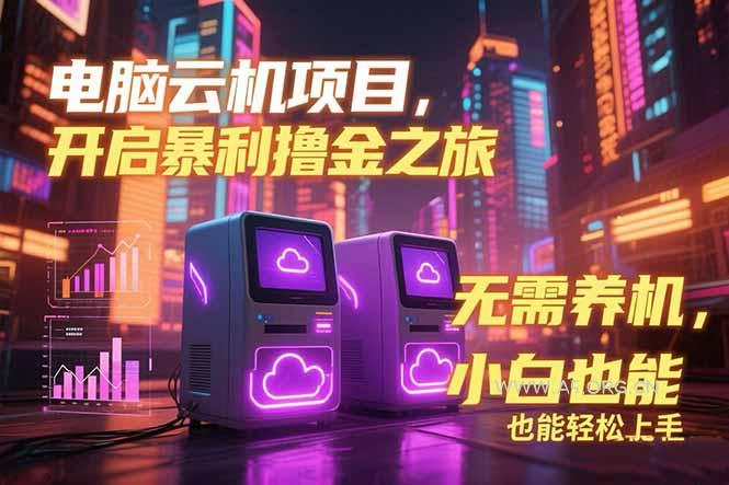 电脑云机项目 暴力撸金玩法，不需要养机 配置没有要求 单机100个窗口一...-351资源网