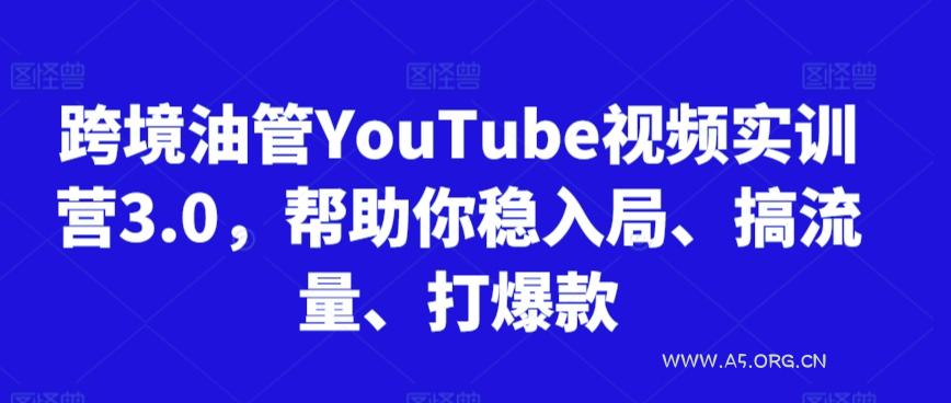 跨境油管YouTube视频实训营3.0,帮助你稳入局、搞流量、打爆款(更新2025)-351资源网