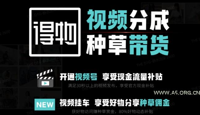 外面卖到1980的得物双通道玩法项目拆解,3-7天的一个起号周期,每月保底有3k – 5k【揭秘】-351资源网
