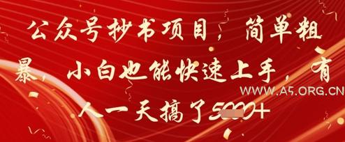 公众号抄书项目，简单粗暴，小白也能快速上手，有人一天搞了1k+-351资源网