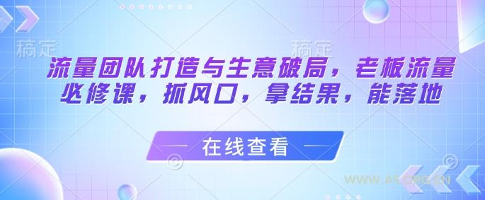 流量团队打造与生意破局,老板流量必修课,抓风口,拿结果,能落地-351资源网