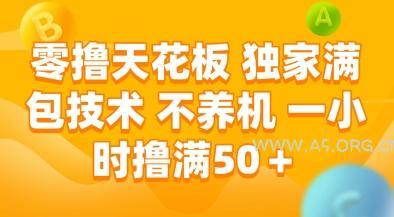 零撸天花板,独家满包技术,不用养机,一小时撸满50+,收益稳定【揭秘】-351资源网