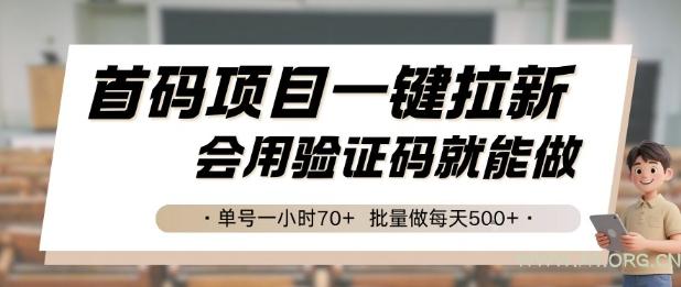 首码项目一键拉新，会用验证码就能做 单号一小时70+，批量做每天5张【揭秘】-351资源网