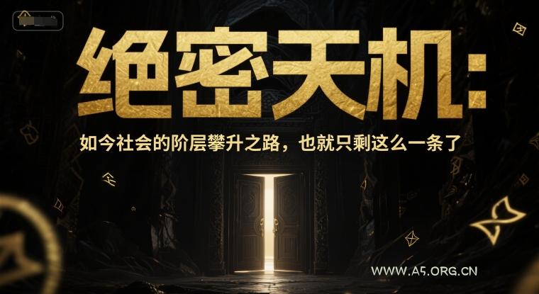 付费文章:绝密天机:如今社会的阶层攀升之路,也就只剩这么一条了-351资源网