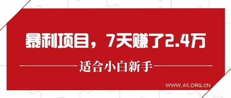 最新暴利项目,每单收益轻松在300以上,7天赚了2.4万-351资源网