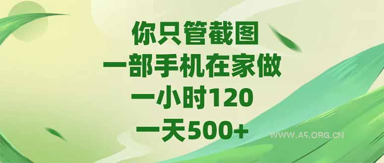 你只管截图,一部手机在家做,一小时120,-天500+-351资源网