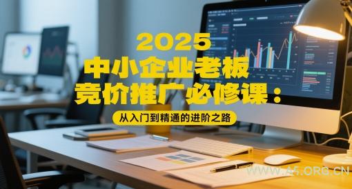 2025中小企业老板竞价推广必修课:从入门到精通的进阶之路-351资源网