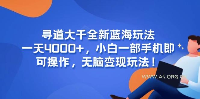 寻道大千全新蓝海玩法,一天4000+,小白一部手机即可操作,无脑变现玩法!-351资源网