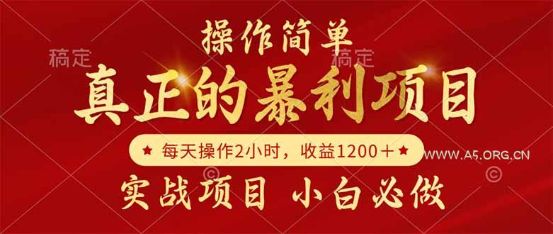 真正的暴利项目,操作简单,每天收益1200+,自己做老板-351资源网