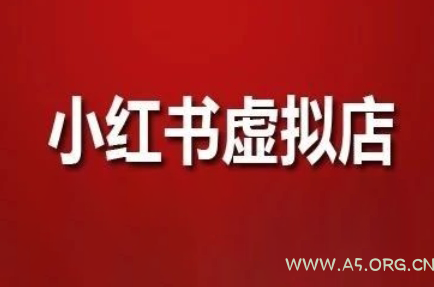 狂峰会·小红书虚拟店矩阵玩法-351资源网