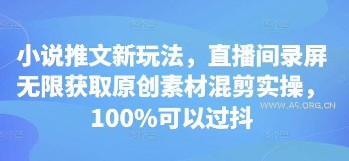 小说推文新玩法，直播间录屏无限获取原创素材混剪实操，100%可以过抖-351资源网