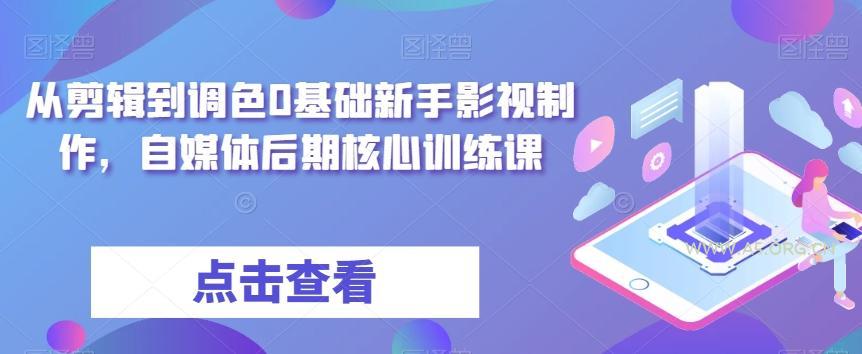 从剪辑到调色0基础新手影视制作，自媒体后期核心训练课-351资源网