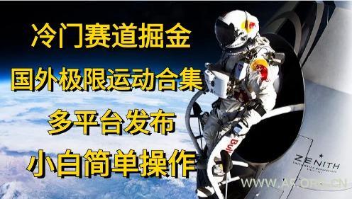 冷门赛道掘金，国外极限运动视频合集，多平台发布，小白简单操作-351资源网