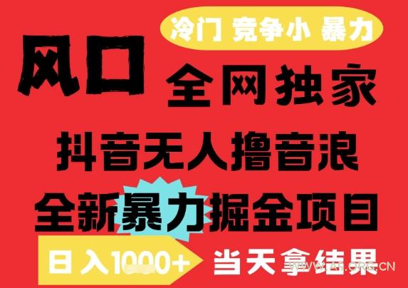 25年6月高爆抖音无人直播最新撸音浪掘金项目,解放双手小白可做,无脑日入1k+,门槛低【揭秘】-351资源网