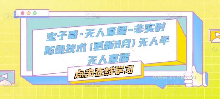 宝子哥·无人直播-非实时防风技术(更新11月)无人半无人直播-351资源网
