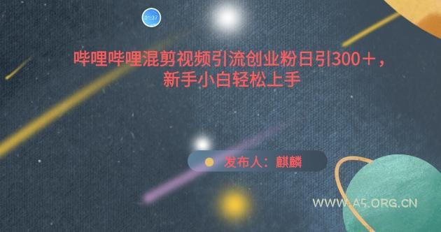 哔哩哔哩混剪视频引流创业粉日引300+,新手小白轻松上手【揭秘】-351资源网