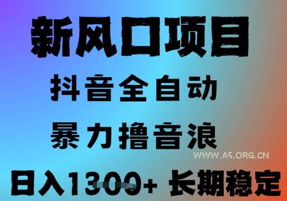 最新风口抖音无人直播撸音浪，全自动运行，小白可玩，长期稳定，日入1.3k，可批量收益翻倍【揭秘】-351资源网