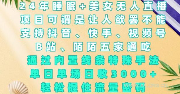 2024年睡眠+美女无人直播，通过内置线条特殊手法，单场日收3k+，轻松握住流量密码【揭秘】-351资源网