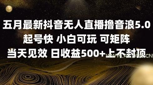 2025五月最新无人直播撸音浪单日产出5张+实操教程【揭秘】-351资源网