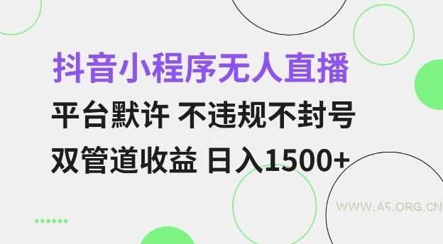 抖音小程序无人直播 平台默许 不违规不封号 双管道收益 日入多张 小白也能轻松操作【仅揭秘】-351资源网
