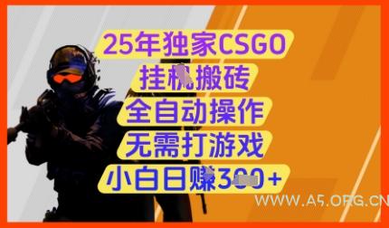 25年独家CSGO挂G搬砖，全自动操作，无需打游戏，小白日入3张+【揭秘】-351资源网