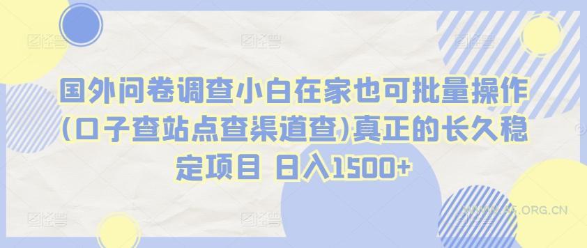 国外问卷调查小白在家也可批量操作(口子查站点查渠道查)真正的长久稳定项目 日入1500+【揭秘】-351资源网