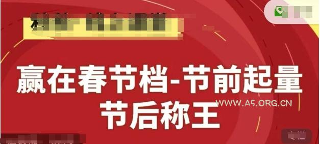 赢在春节档-节前起量,后称王,淘系精品线上系列课-351资源网