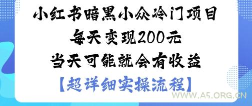 小红书暗黑小众冷门项目每天变现2张当天可能就会有收益-351资源网