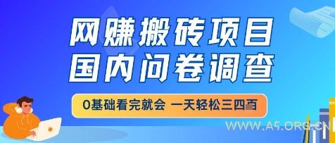 网创搬砖项目，国内问卷调查，小白轻松上手，一天三四张的也不难，干就完了【揭秘】-351资源网