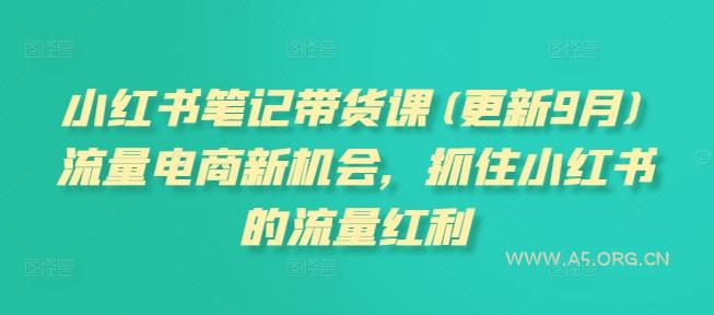 小红书笔记带货课(更新25年2月)流量电商新机会，抓住小红书的流量红利-351资源网