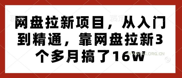 网盘拉新项目，从入门到精通，靠网盘拉新3个多月搞了16W-351资源网