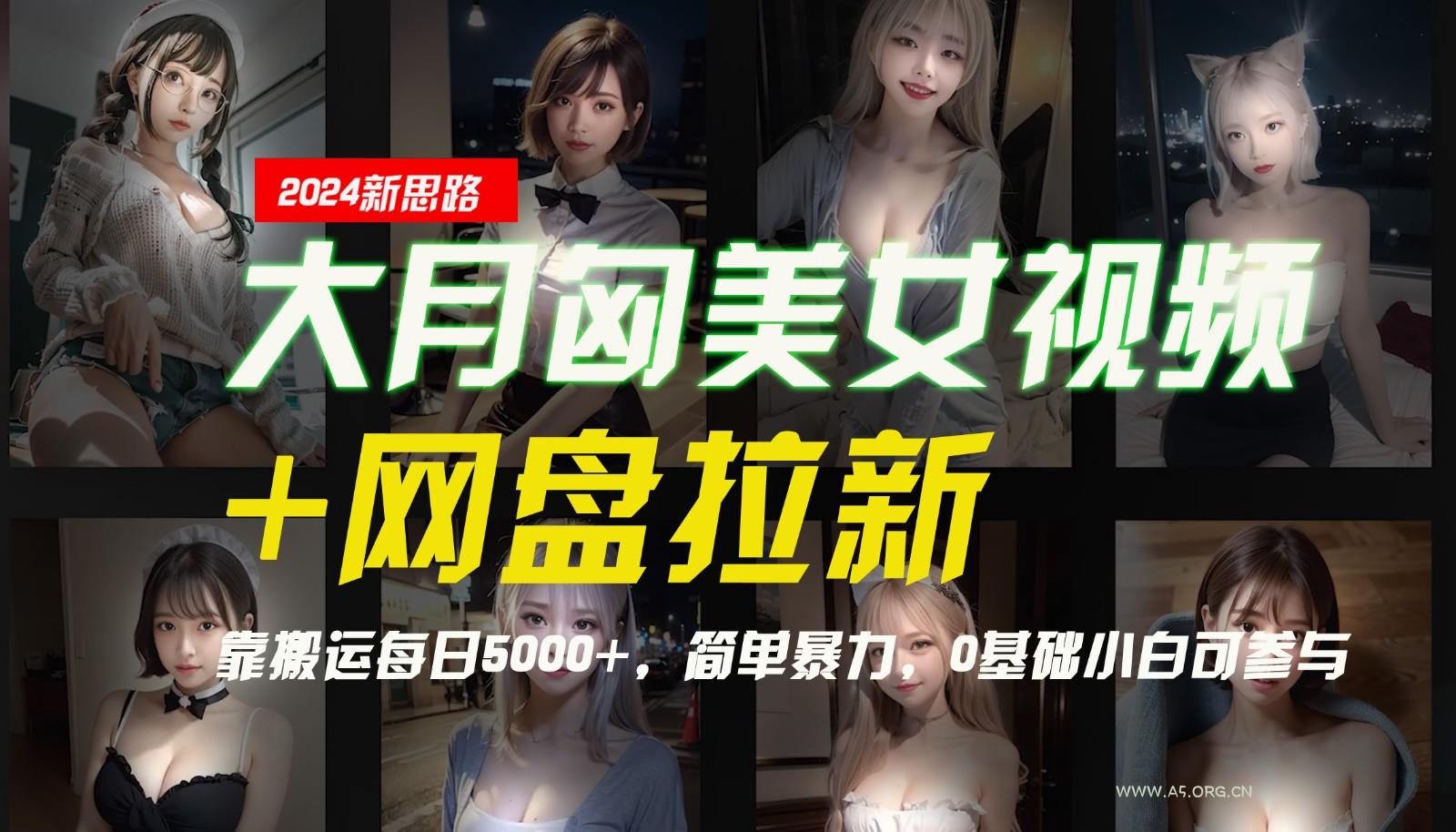 【新思路】大月匈美女视频+网盘拉新，靠搬运每日5000+，简单暴力，0基础小白可参与-351资源网